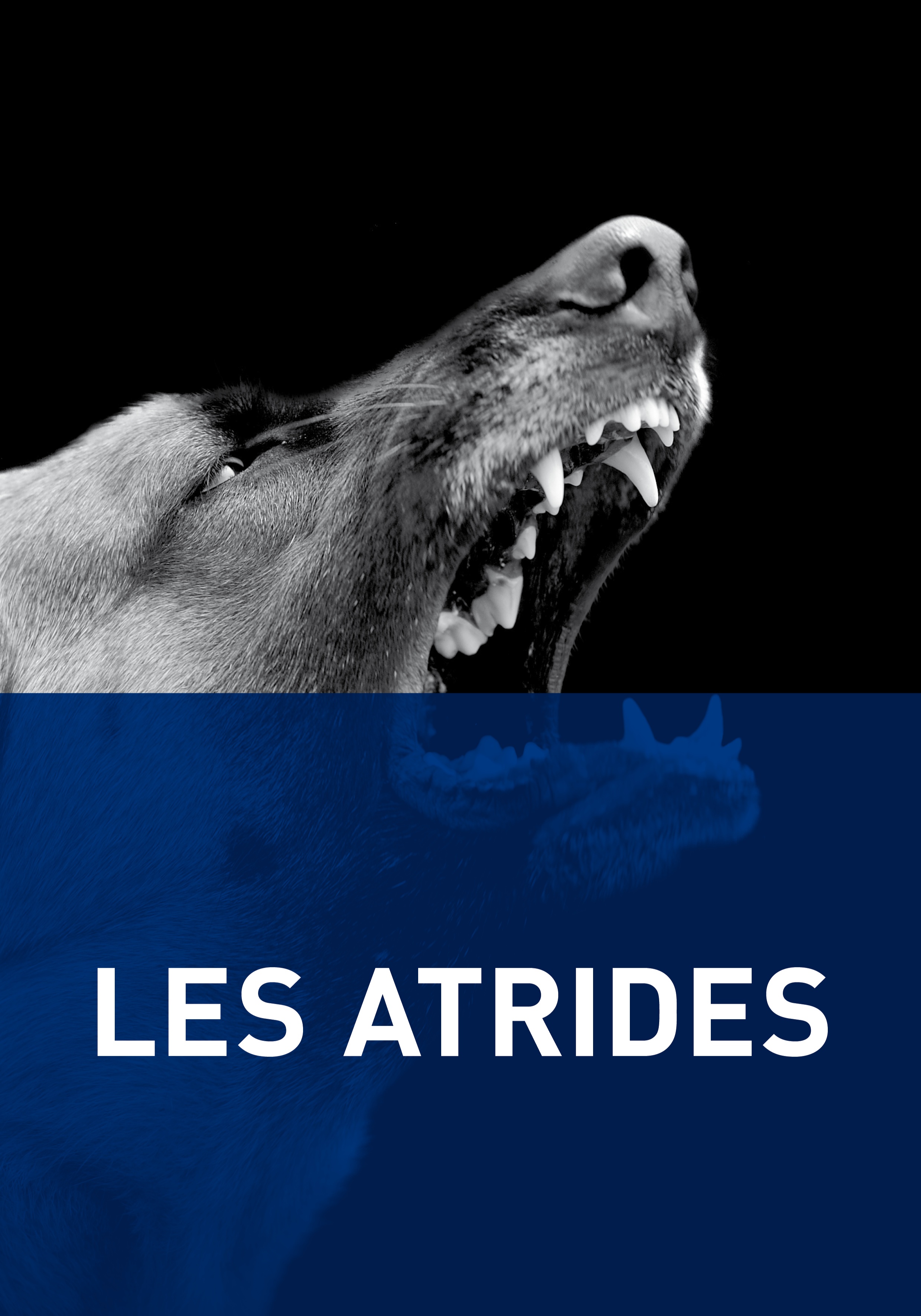 Affiche du spectacle