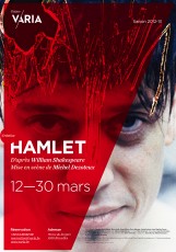 Affiche du spectacle