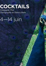 Affiche du spectacle